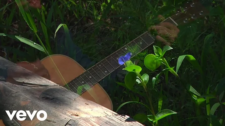 andrew reed & the liberation - Carolina in the Morning (Official)