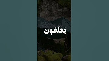 ما تيسر من سورة الحِجر بصوت الشيخ محمد المنشاوي.