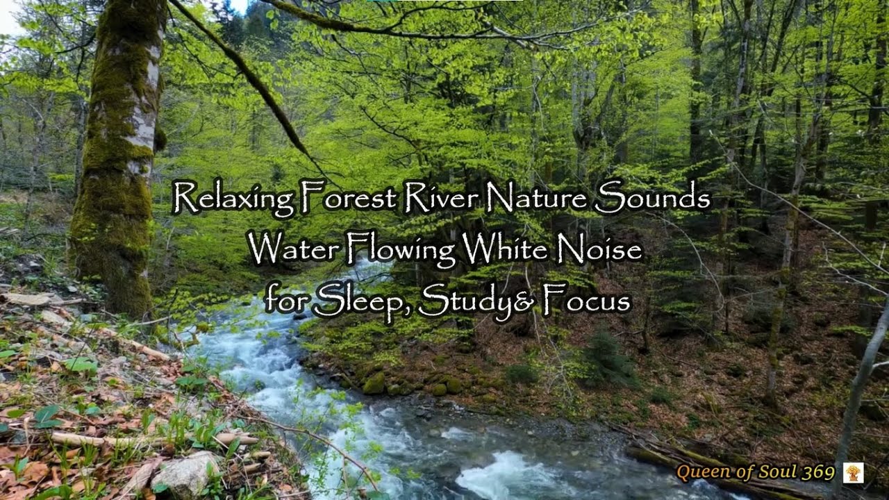 Relaxing Forest River Nature Sounds Water Flowing for Sleep, Study ...