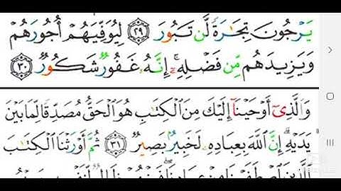 سورة فاطر سعد الغامدي من أندر التلاوات القديمة Surah Fatir Saad Al-Ghamdi