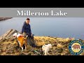 Beauty of Millerton Lake State Recreation Area: Ultimate Guide