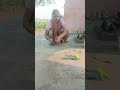 उमापति भोले शंकर 🔱