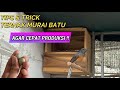 CARA TERNAK MURAI BATU UNTUK PEMULA AGAR CEPAT PRODUKSI ! !  Part I