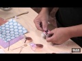 Steampunk Entomology - Lesson Plan