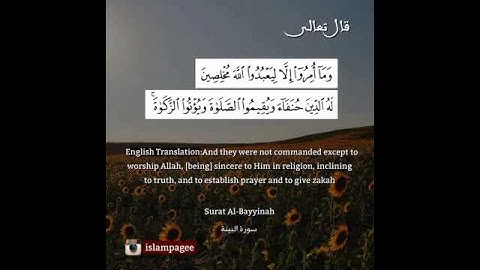 وما أمروا إلا ليعبدوا الله مخلصين له الدين حنفاء ويقيموا الصلاة ويؤتوا الزكاة - سورة البينة