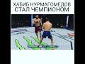 Хабиб Нурмагамедов стал чемпионом