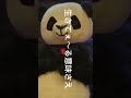 パンダが歌ってみたパク・ジュニョン 愛が壊れた日