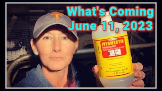 💥 Get This Done BEFORE June! 💥