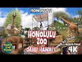 Honolulu Zoo Oahu Hawaii June 10, 2020 Things to do in Hawaii