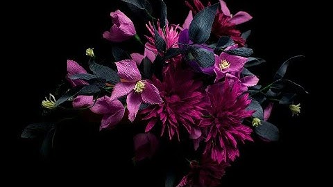 سورة الجاثية | بصوت القارئ أحمد الحذيفي