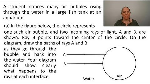 AP Physics 2 Exam Prep 2022 - Multi-Topic Question