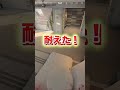 ベッドの上最強説! #shorts #かくれんぼ #prophunt #cod