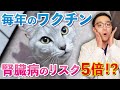 「毎年打つ」は時代遅れ!?猫のワクチンの打ち方について最新版を獣医が紹介!!