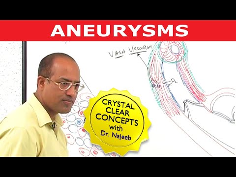 dr najeeb lectures torrent failed dr najeeb lectures torrent failed