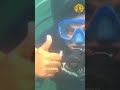 Scuba drive #amazing #scubadiving #goa #update