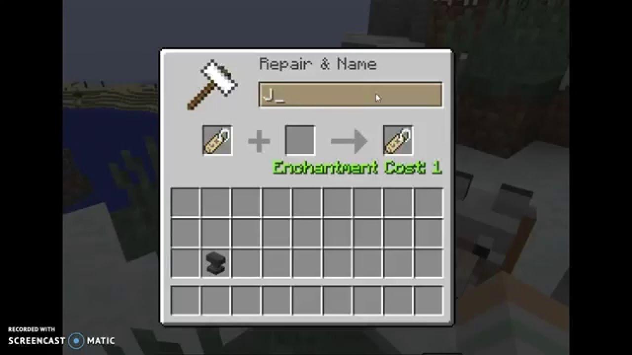 MinecraftHow to name your pet! YouTube