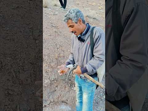 یکی از خاص ترین عقیق های که همه دنبالش رو در رودخانه شکار کردم شکار سنگ های گران قیمت