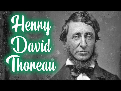 Video: Thoreau vətəndaş itaətsizliyində nə deməyə çalışır?