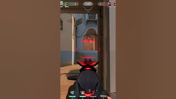 The Araxys vandal goes HARDDDDD - Valorant Clip