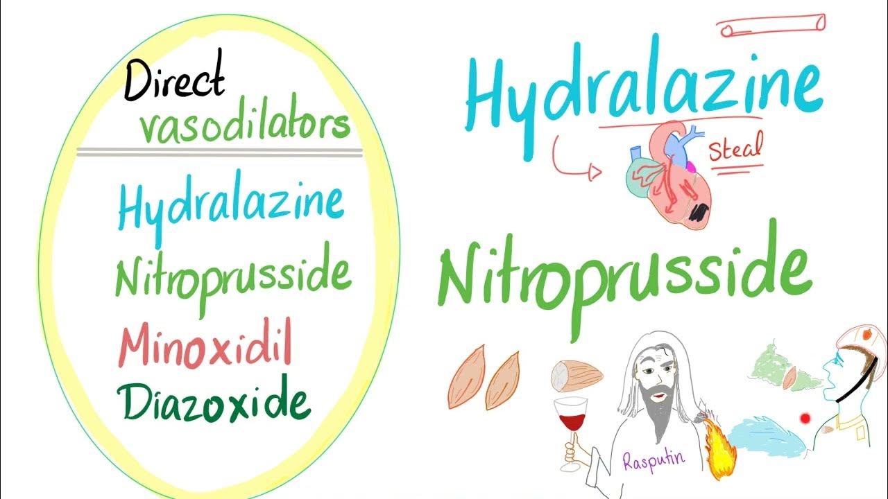 34. Direct vasodilators (Hydralazine, Nitroprusside) Cardiac