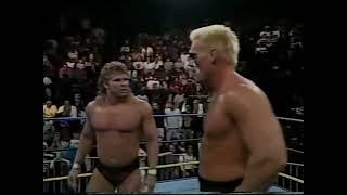 Sting vs Stunning Steve Austin 94'