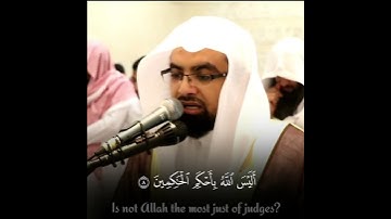 سورة التين للشيخ ناصر القطامي