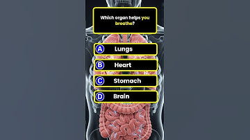 General Knowledge Quiz in English| | English quiz Game | | Trivia game questions