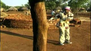 Thomas Chauke - Bangi situlu (BB)