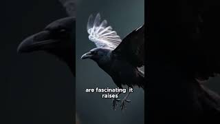 Are Crows Hoarding Treasure or Just Playing #BirdFacts #AnimalBehavior Truth!