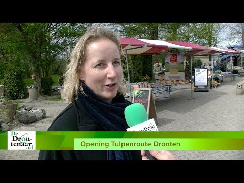 VIDEO | Tulpenroute Dronten is voor Mariska van Diepenbeek een droom die uitkomt