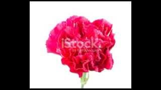 Namenes Gia Ligo Filoppos Nikolaoy Mp3