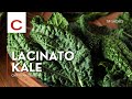 Lacinato Kale Chef Ryan Zellner Tips Shorts Lacinato Kale Chef Ryan Zellner Tips Shorts