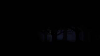 Fella Play Slender 2D