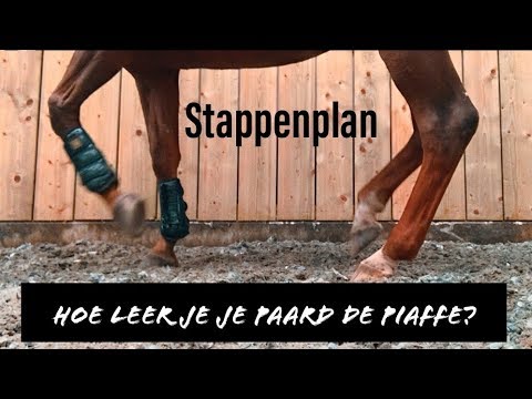 Video: Hoe Leer Je Snel Een Passage?