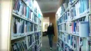 nisha mixdown youtube