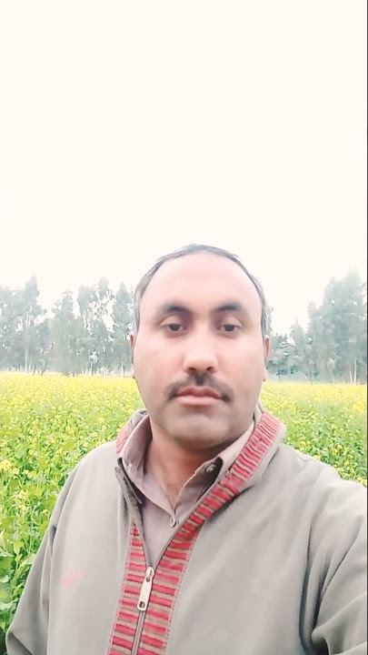 sari dil de gal hy