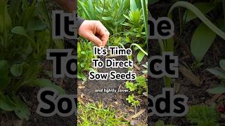 Direct Sow Your Seeds Now 🌱 Direct Sow Your Seeds Now 🌱