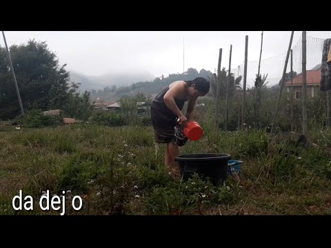 nkauj hmoob toj siab da dej toj siab nawb