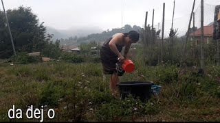 Nkauj Hmoob Toj Siab Da Dej Toj Siab Nawb