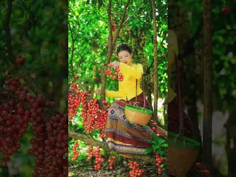 Enjoy the rural