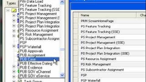 Siebel 8.2.2 - Enhancements Effective Dates and Views and Child BusComps