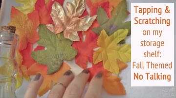 ASMR * Theme: Fall Storage Shelf * Tapping & Scratching * Fast Tapping * No Talking * ASMRVilla