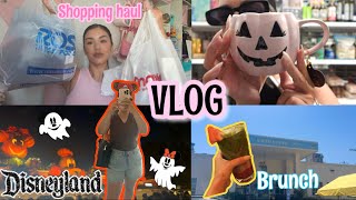 ♡A Few Days in My Life♡ | Grieving, Retail Therapy (Ross &amp; TJ Maxx Girly Haul, A Day @ Disneyland!