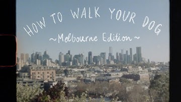 Lotta Lu Klann, Betty - Infographic Video (click image to play video) (2021)