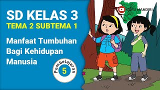 Kelas 3 Tema 2 Subtema 1 Pembelajaran 5