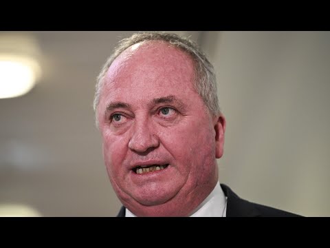 Barnaby Joyce’s policy slip-up a ‘wake-up call’ for One Nation voters
