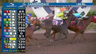 Vidéo de la course PMU OPONENTE H.