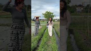 OBROLAN PETANI