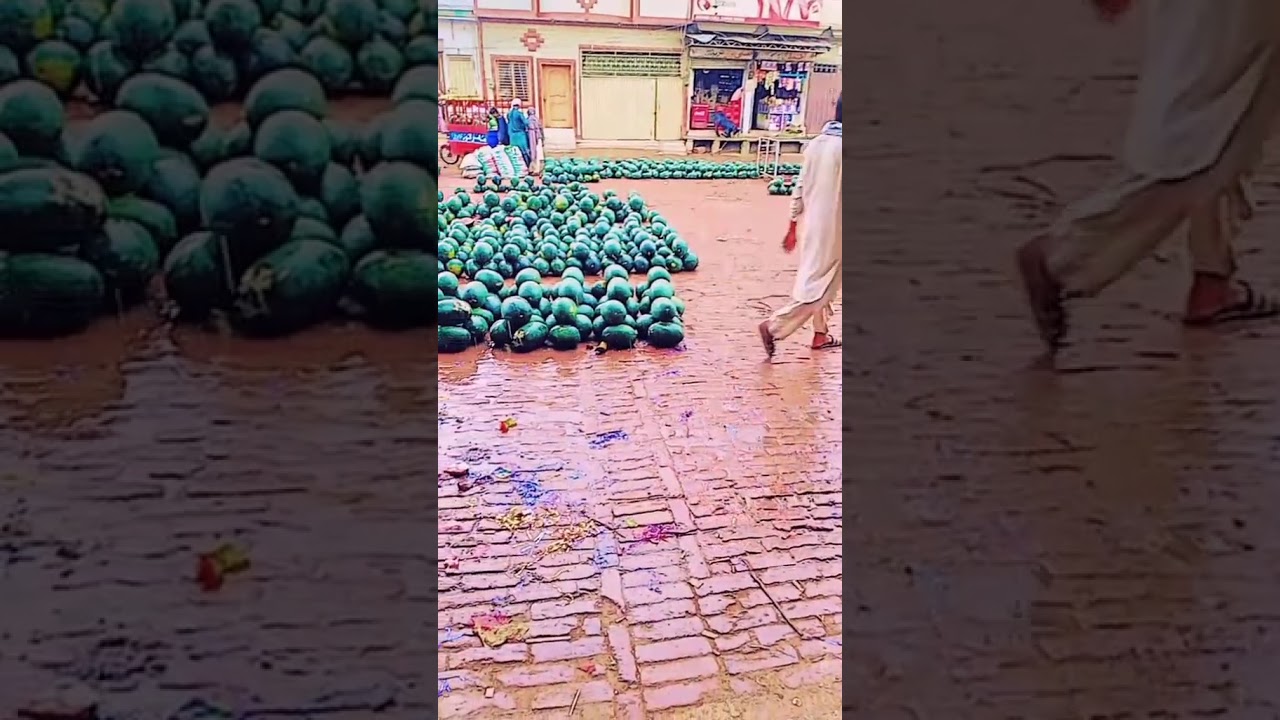 daily routine with Nadia 