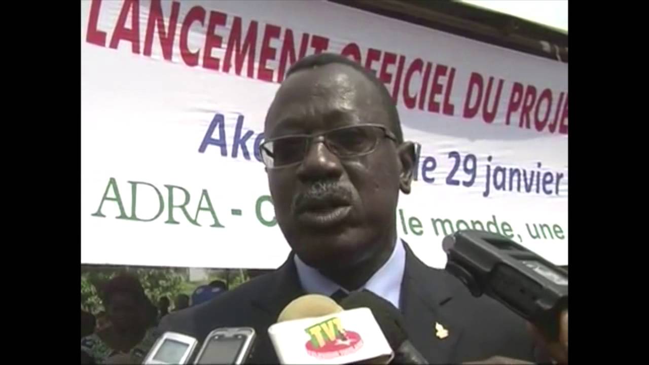 developmental Togo TVT Report